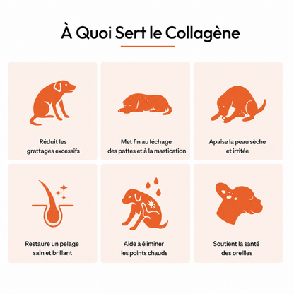 Zeli - Collagène Liquide Premium